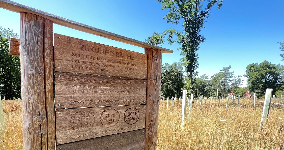 Ein Schild weist bei Harzrigi auf die j&auml;hrlichen Neupflanzungen des Zukunftswalds hin.
