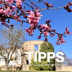 Bild: Wochenende in Nordhauseb