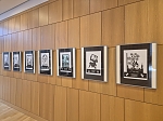 Bild: Ausstellung in der Stadtbibliothek