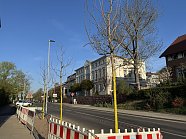 Umfangreiche Baumpflanzmaßnahmen im Stadtgebiet Nordhausen (Foto: Stadtverwaltung Nordhausen)