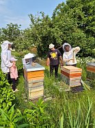 „Kleine Spürnasen“ bei den fleißigen Bienen (Foto: )
