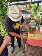 „Kleine Spürnasen“ bei den fleißigen Bienen (Foto: )