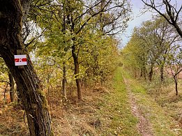 Wanderausflüge in Harz und Südharz (Foto: Stadtverwaltung Nordhausen)