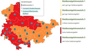 Hohe Waldbrandgefahr in Nordhausens Wäldern
