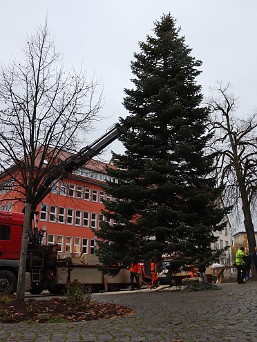 Weihnachtsbaum 2021 (Foto: Stadtverwaltung Nordhausen)