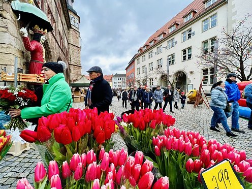 Wurstmarkt  (Foto: ©Stadtverwaltung Nordhausen)