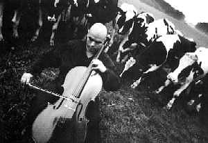 Jazzklub: Wolfram Huschke spielt Cello in Cyriaci (Foto: nnz)