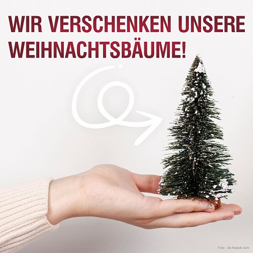 Weihnachtsbäume for Free (Foto: Stadtverwaltung Nordhausen)