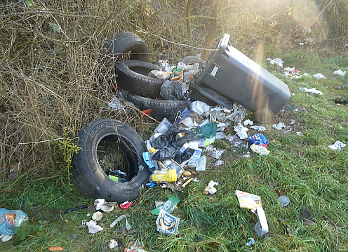 Rückbau von Abfallbehältern zwischen Bielen und Sundhausen (Foto: )