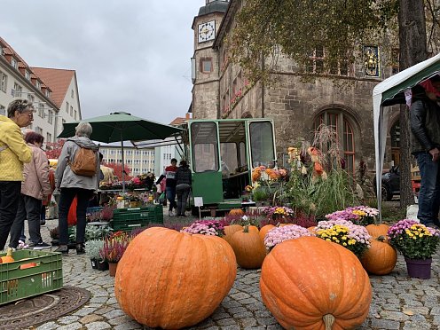 Bild: Bunter K&uuml;rbis- und Zwiebelmarkt in Nordhausen
