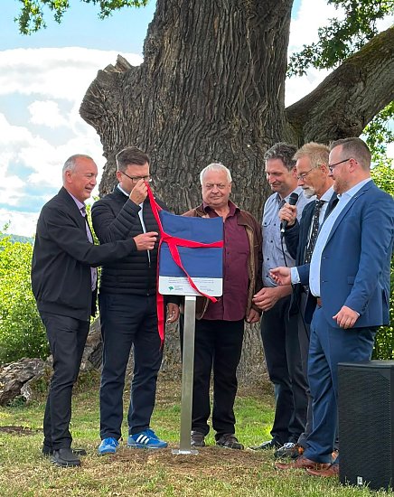 Bild: Ausrufung der Flehm&uuml;ller-Eiche zum Nationalerbe-Baum � Auszeichnung f&uuml;r Nordhausen und die gesamte Region