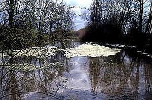 Bild: Salza Spring