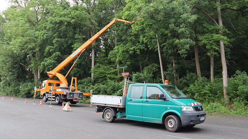 Symbolfoto  Baumpflegearbeiten Parkallee Nordhauen (Foto: Stadtverwaltung Nordhausen)