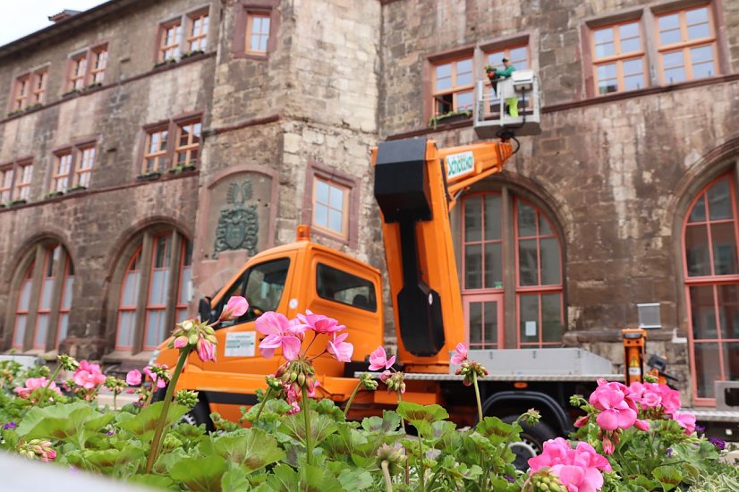 Mitarbeiter der Grünanlagenpflege bringen Blumenkästen am Rathaus an.  (Foto: ©Stadtverwaltung Nordhausen)