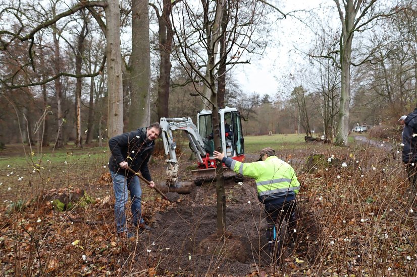 Baumpflanzungen Stadtpark (Foto: Stadtverwaltung Nordhausen)