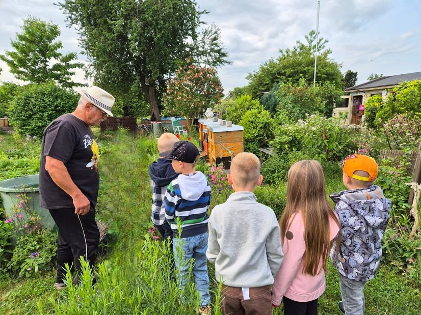 „Kleine Spürnasen“ bei den fleißigen Bienen (Foto: )