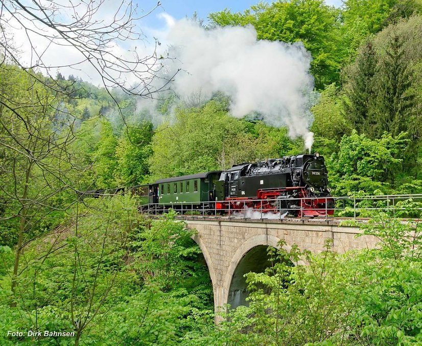 Bild: Zu sehen ist das Bere-Viadukt zwischen Ilfeld und Netzkater. &Uuml;ber die Br&uuml;cke f&auml;hrt eine Harzer Schmalspurbahn.