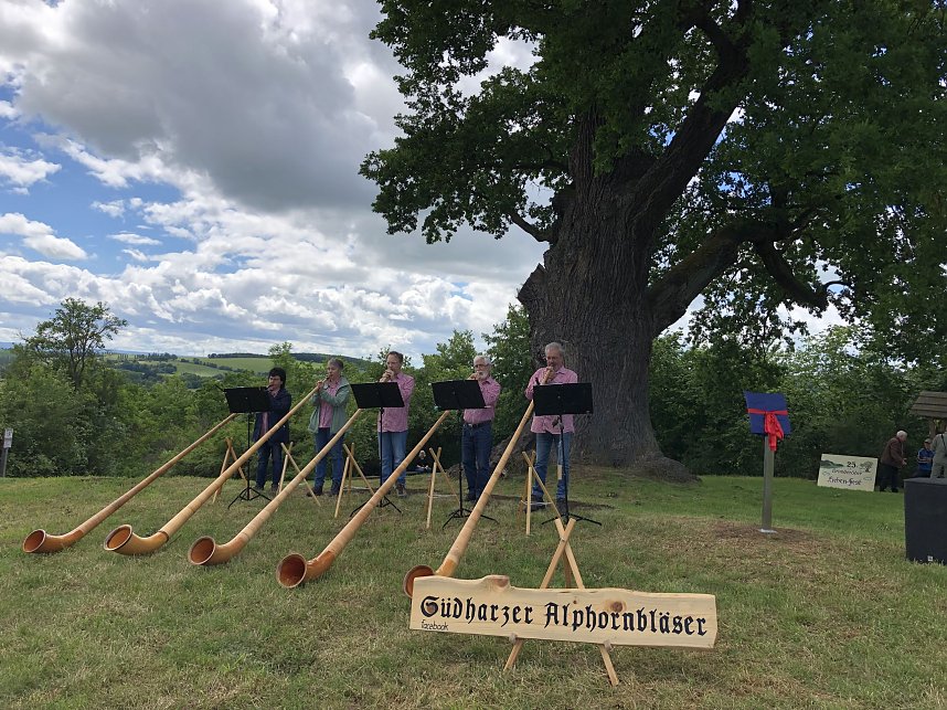 S&uuml;dharzer Alphornbl&auml;ser